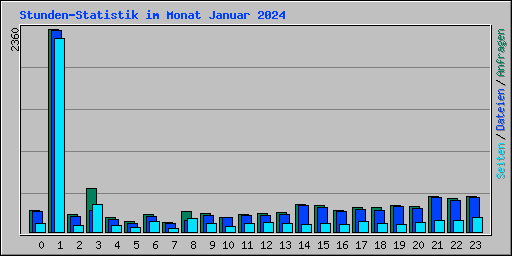 Stunden-Statistik im Monat Januar 2024