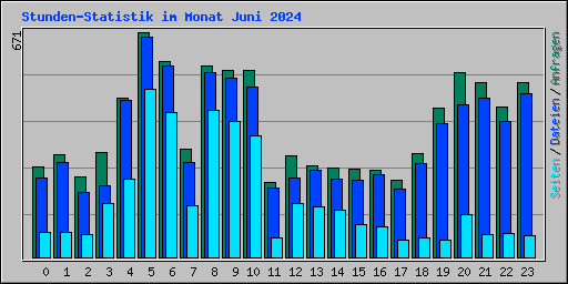 Stunden-Statistik im Monat Juni 2024