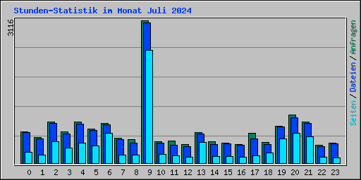 Stunden-Statistik im Monat Juli 2024