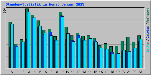 Stunden-Statistik im Monat Januar 2025