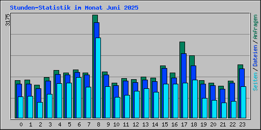 Stunden-Statistik im Monat Juni 2025